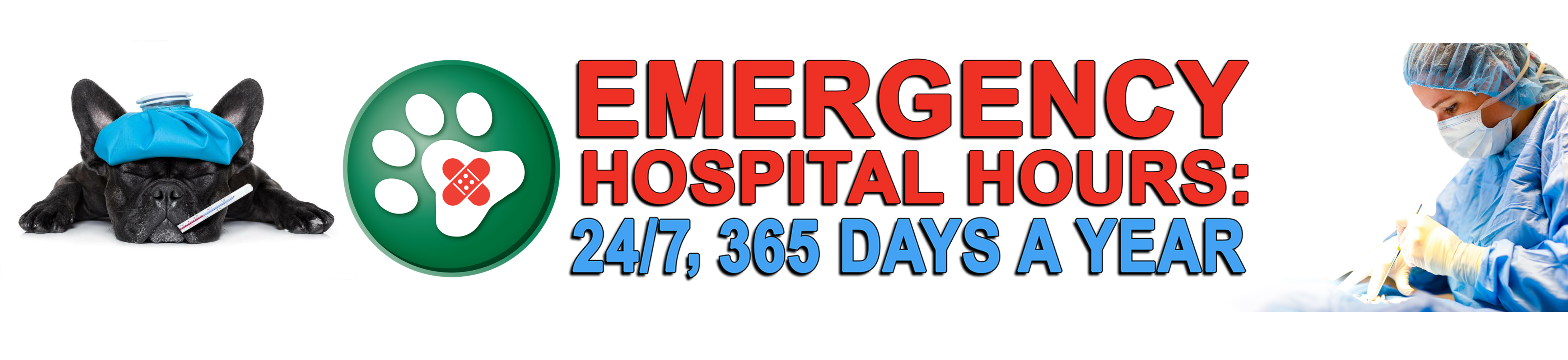 emergency vet hospital near me 24 hours