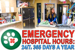 emergency vet hospital near me 24 hours